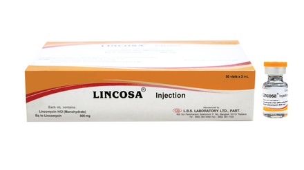 LINCOSA