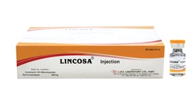 LINCOSA