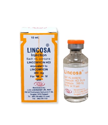 LINCOSA